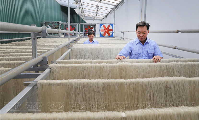 A facility of Vietnamese rice vermicelli