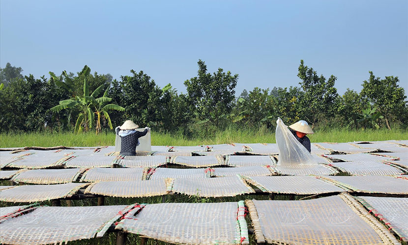 Minh Khai village of rice vermicelli