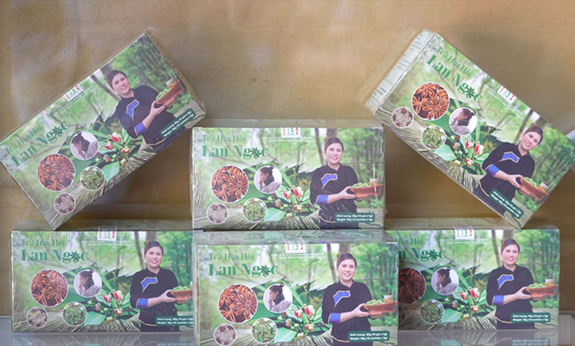 Vietnamese star anise tea