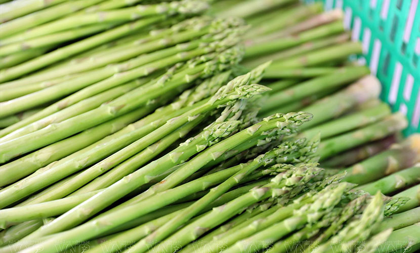 Vietnamese asparagus