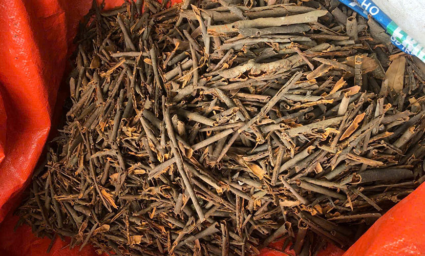 Broken cinnamon from Vietnam