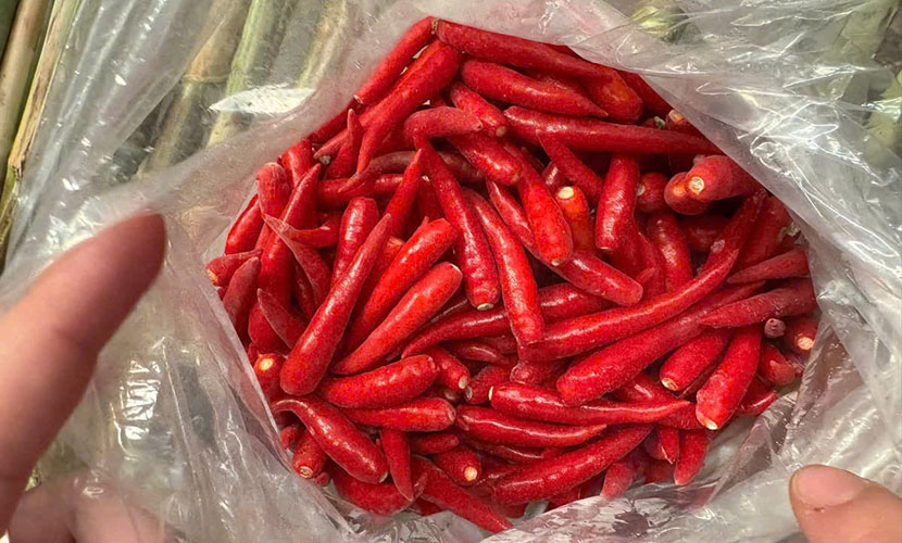Vietnamese chili exports