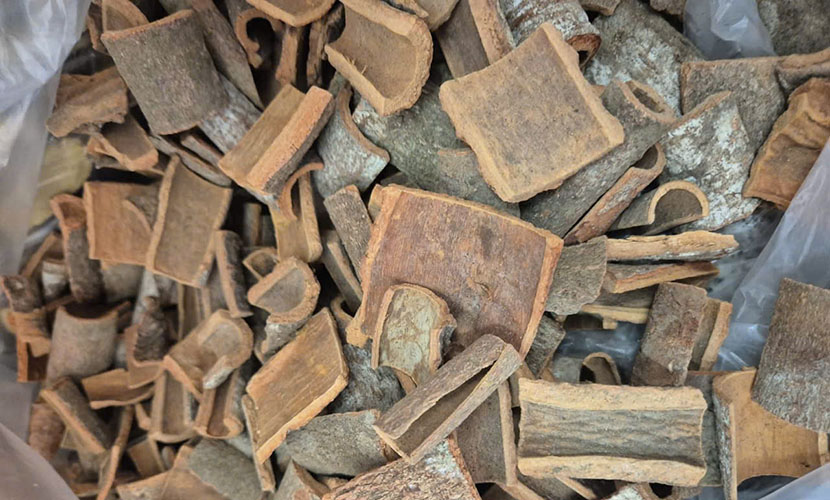 Vietnamese cinnamon exports: square cut