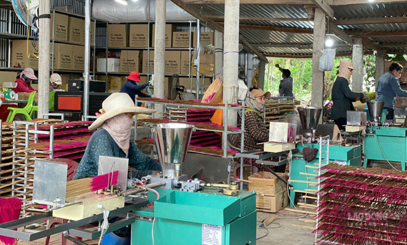 Vietnamese cinnamon incense factory