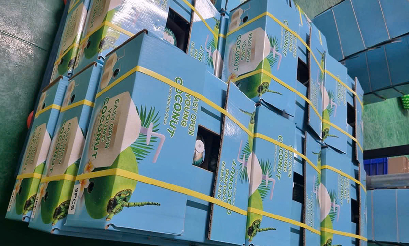 Vietnamese coconut carton boxes