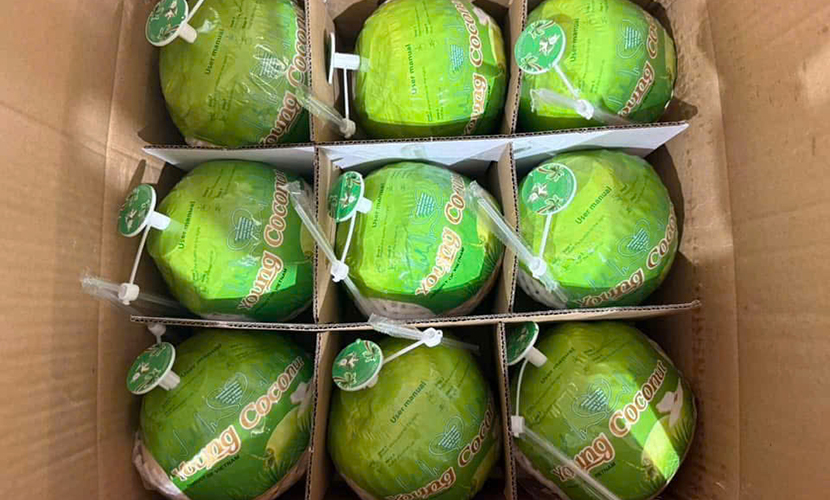Vietnamese coconuts