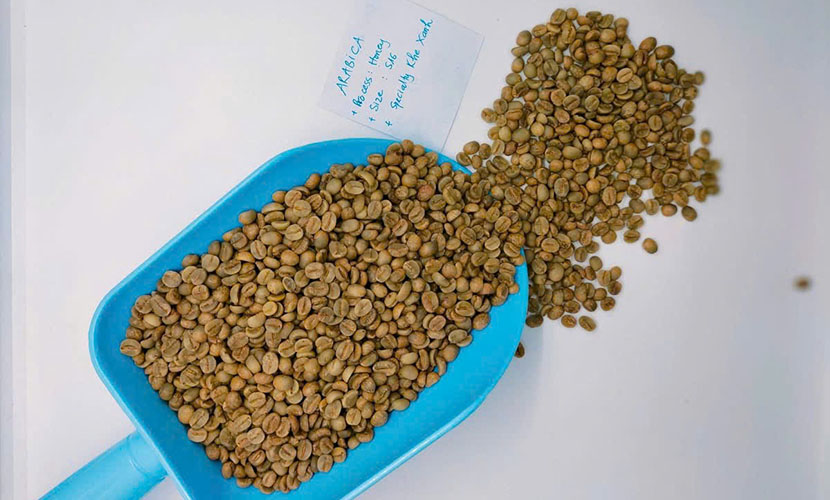 Arabica coffee from Vietnam