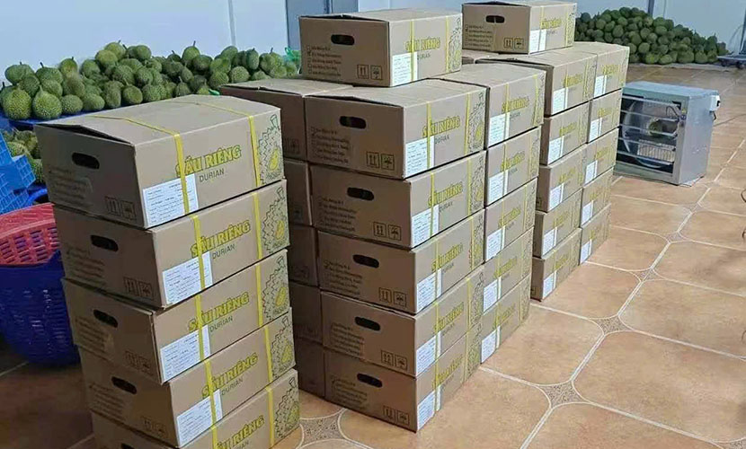 Fresh durian carton boxes
