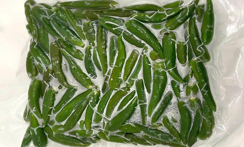 Frozen green chili from Vietnam