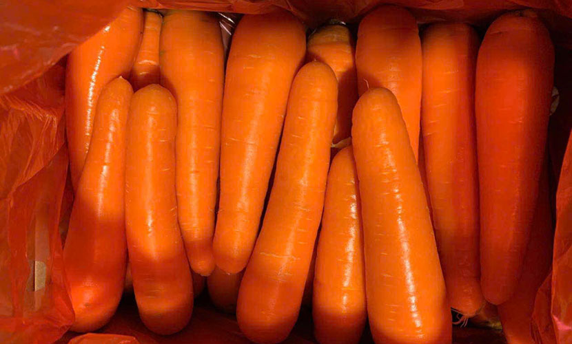 Vietnamese high-quality carrot