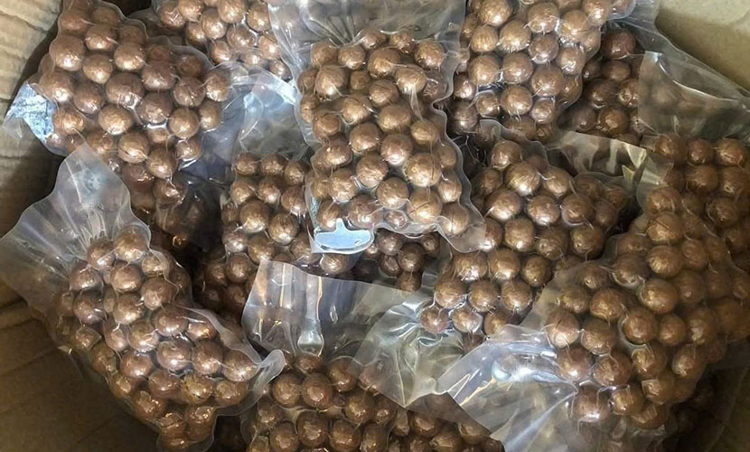 Vietnamese macadamia