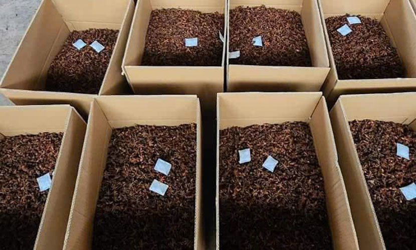 Vietnamese organic star anise