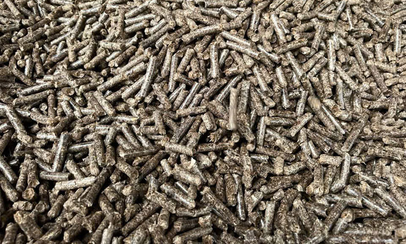 Vietnamese pellet exports