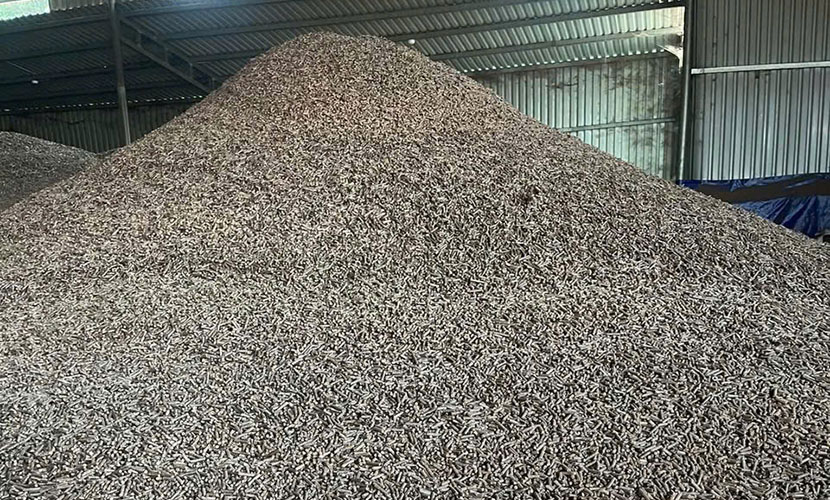 Vietnamese pellet factory