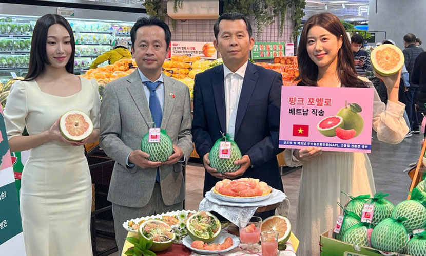 Vietnamese pomelo on Lotte Mart