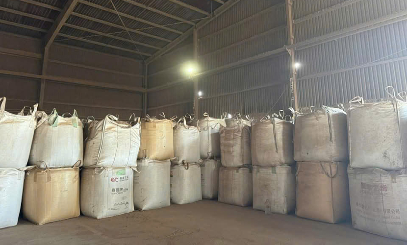 A factory of Vietnamese wood pellets
