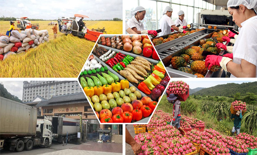 Vietnam's agri-products