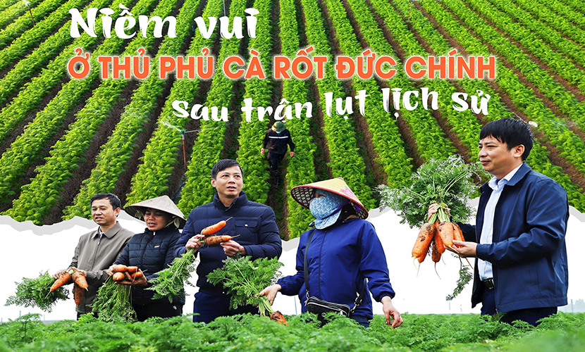 Vietnam's carrots