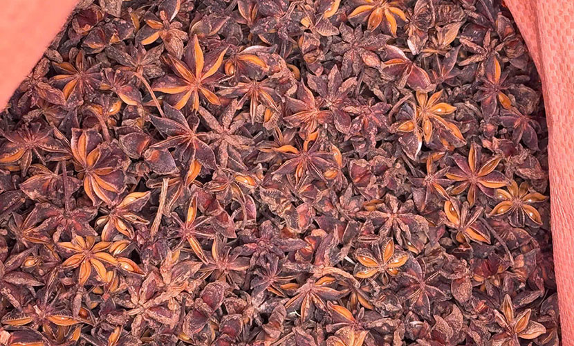 Vietnam's organic star anise