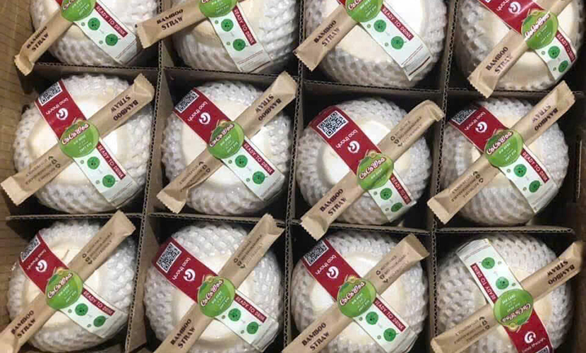 Young coconut from Vietnam