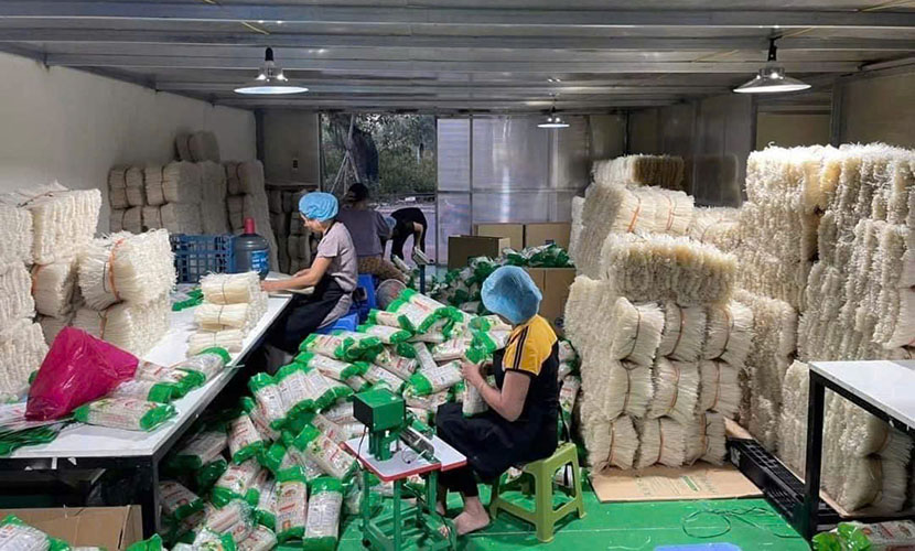 A factory of Vietnam's dried pho