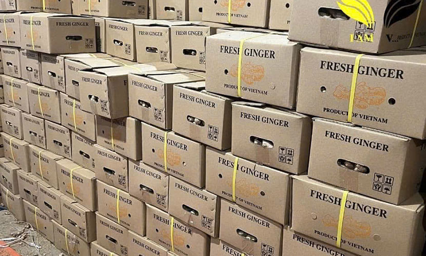 Vietnamese ginger facility