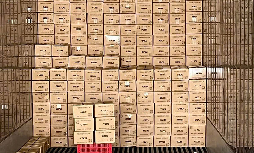 Vietnamese ginger loading