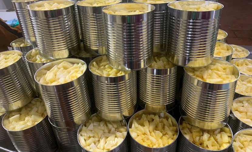 Canned pineapple from Vietnam