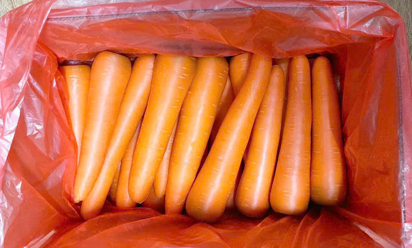 A carton box of Vietnamese carrots for export