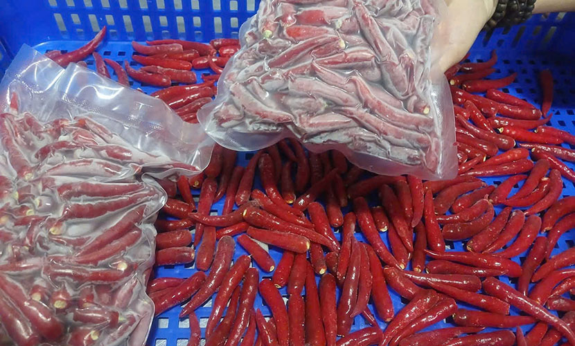 Organic chili peppers export to Japan