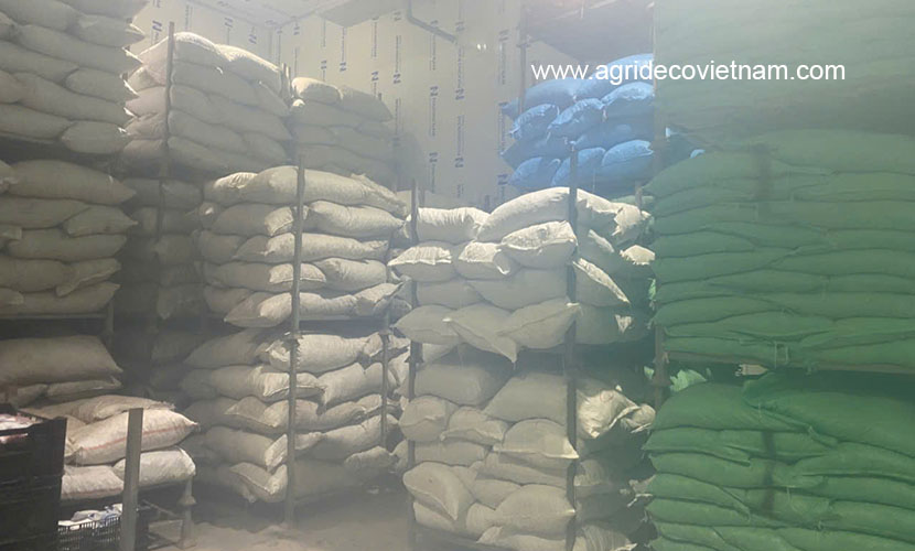 A warehouse of frozen chili - packing 20kg net/pp pe bag