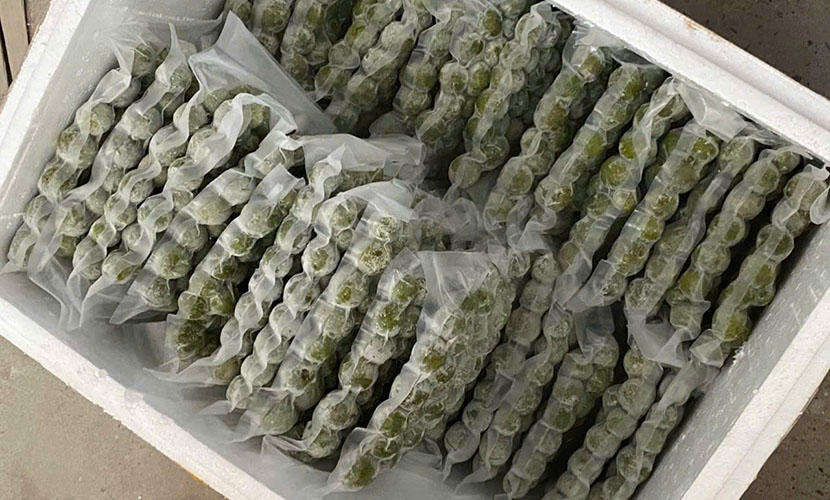 Frozen dracontomelon from Vietnam