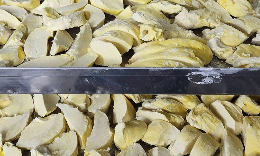 Frozen durian from Vietnam