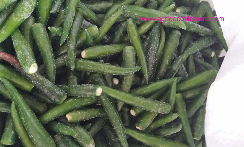 Frozen green chili from Vietnam