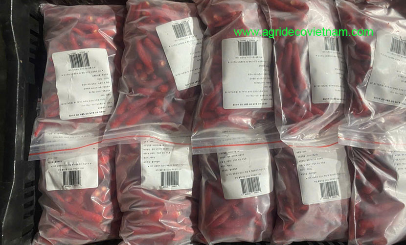 Frozen red chili from Vietnam