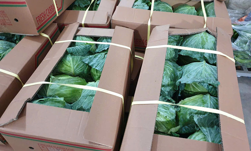 Globalgap cabbage boxes