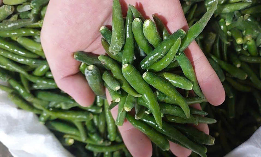 Green chili from Vietnam
