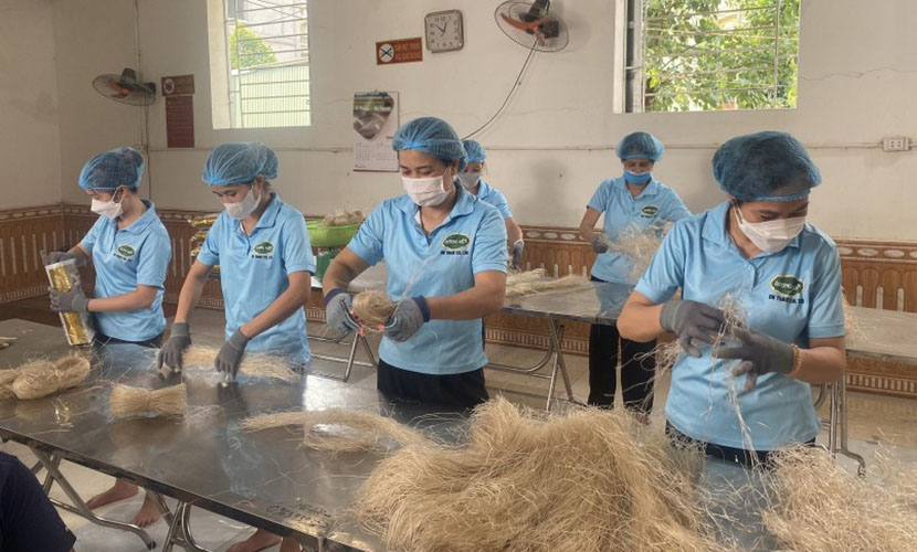 Lang So canna noodle facility