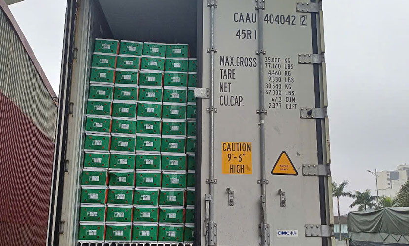 Loading fresh carrot for export