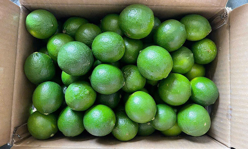 Long An seedless lime box