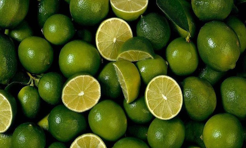Long An seedless lime