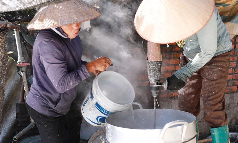 Making canna starch for vermicelli