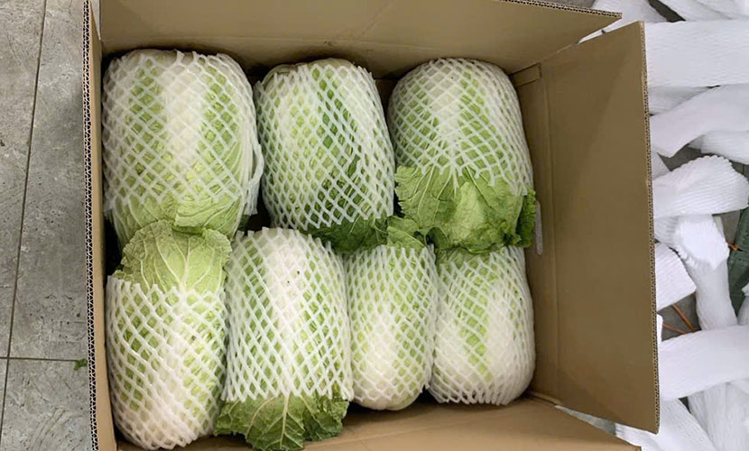 Napa cabbage boxes