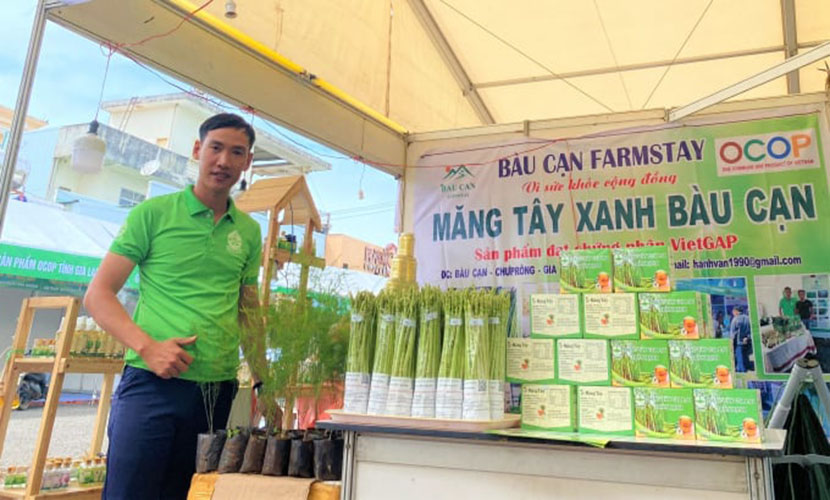 Organic green asparagus on trade fairs