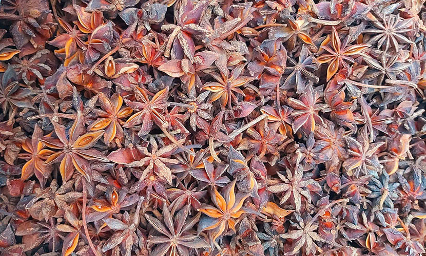 Organic star anise from Vietnam