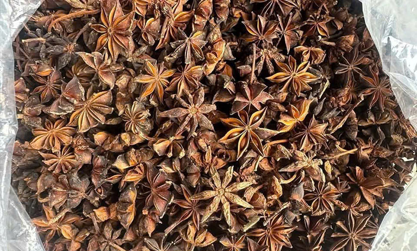 Organic star anise from Vietnam