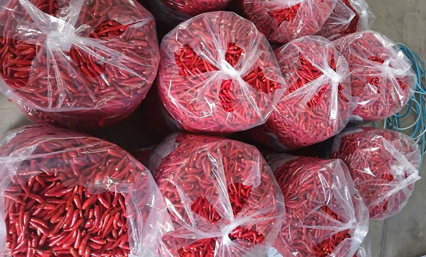 Red chili from Vietnam