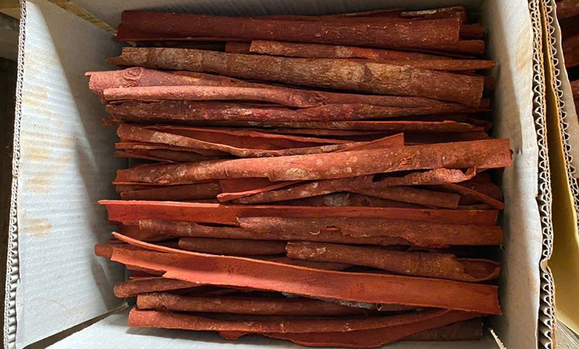 Split cassia from Vietnam
