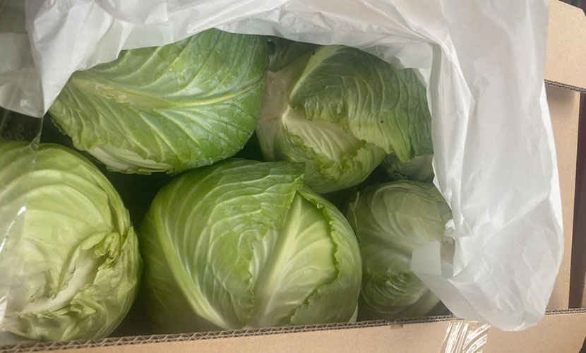 Vietgap cabbage box
