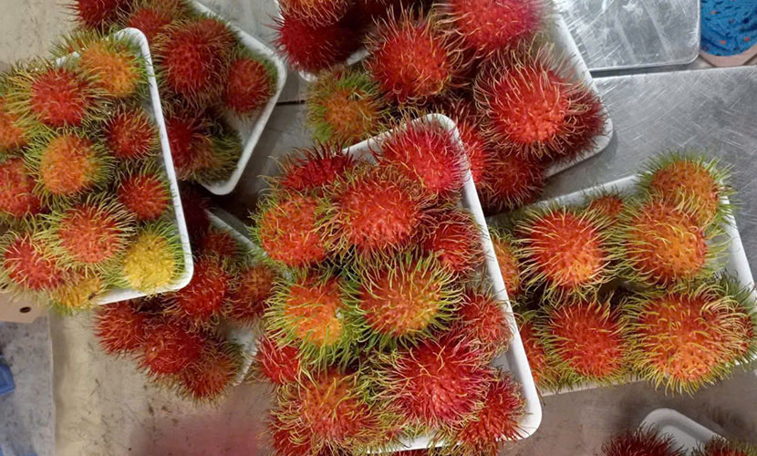 Vietnam's agricultural products